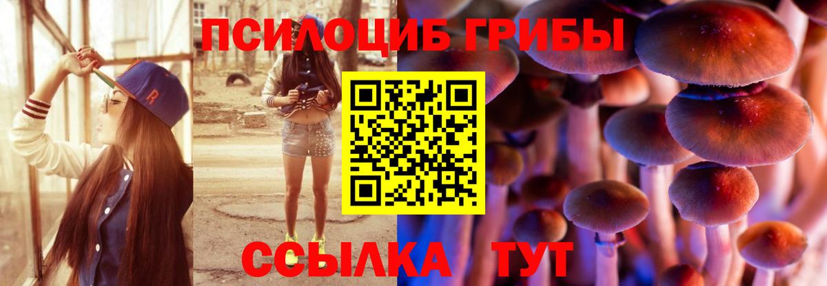 Псилоцибиновые грибы MAGIC MUSHROOMS  Галлюциногенные грибы MAGIC MUSHROOMS  Свободный  Вход с VPN 